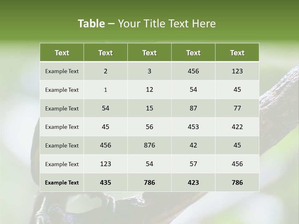 Wild Bird One PowerPoint Template