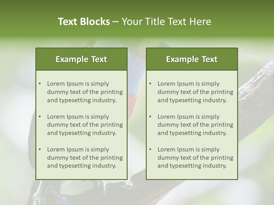 Wild Bird One PowerPoint Template