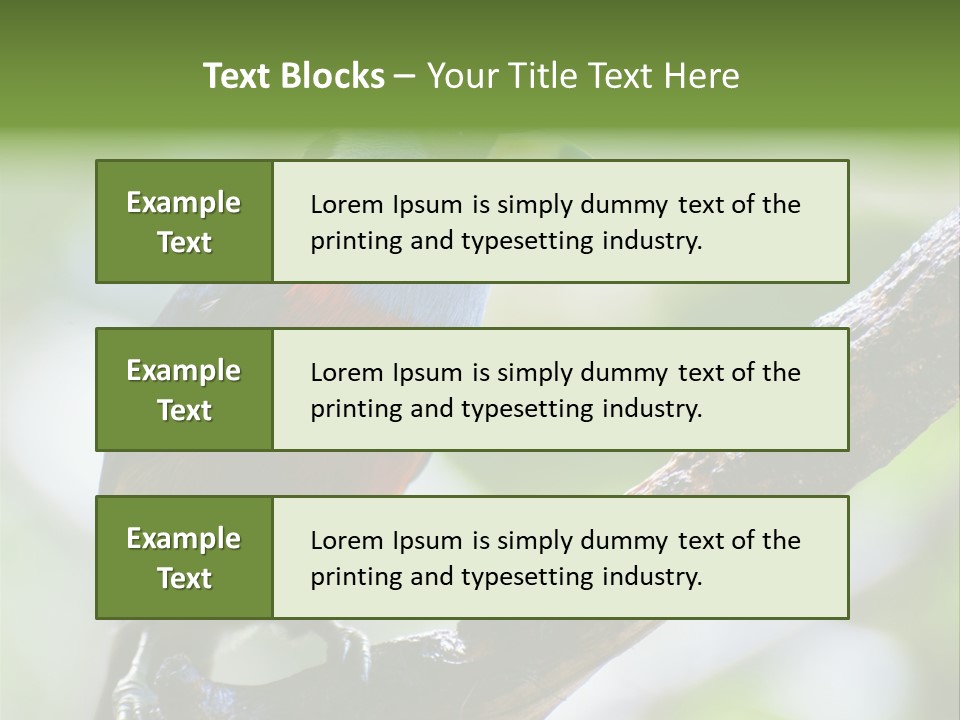 Wild Bird One PowerPoint Template