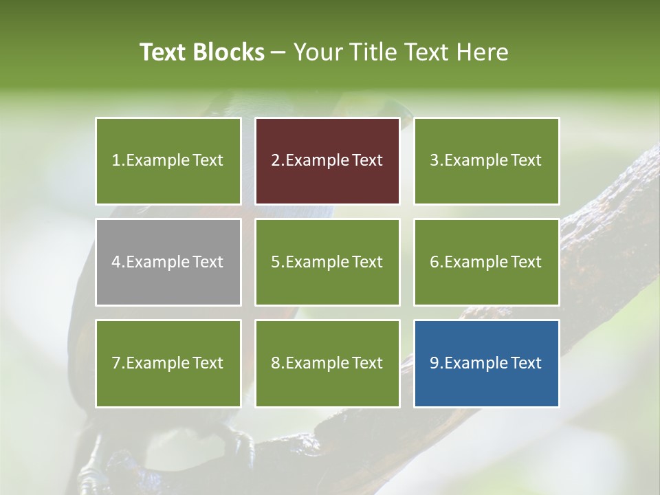 Wild Bird One PowerPoint Template