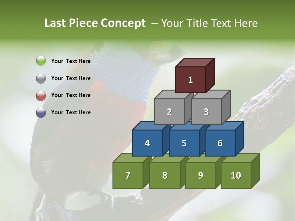 Wild Bird One PowerPoint Template