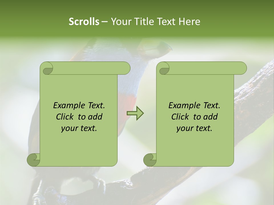Wild Bird One PowerPoint Template