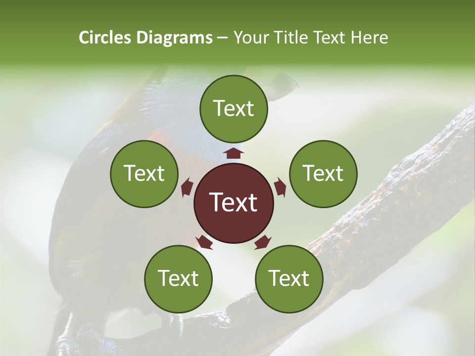 Wild Bird One PowerPoint Template