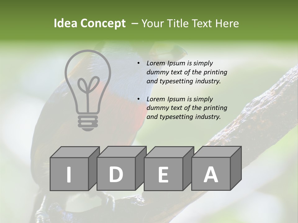 Wild Bird One PowerPoint Template