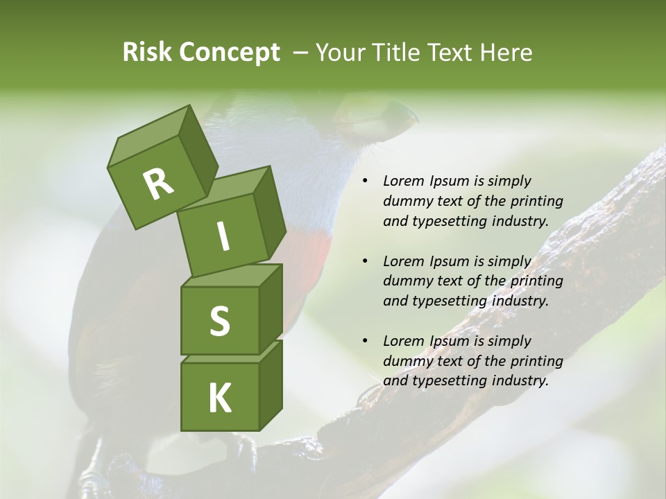 Wild Bird One PowerPoint Template