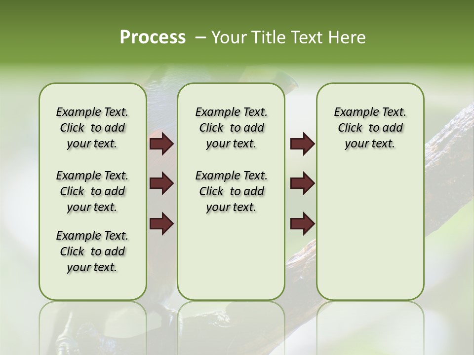 Wild Bird One PowerPoint Template