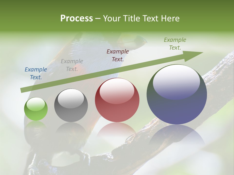 Wild Bird One PowerPoint Template