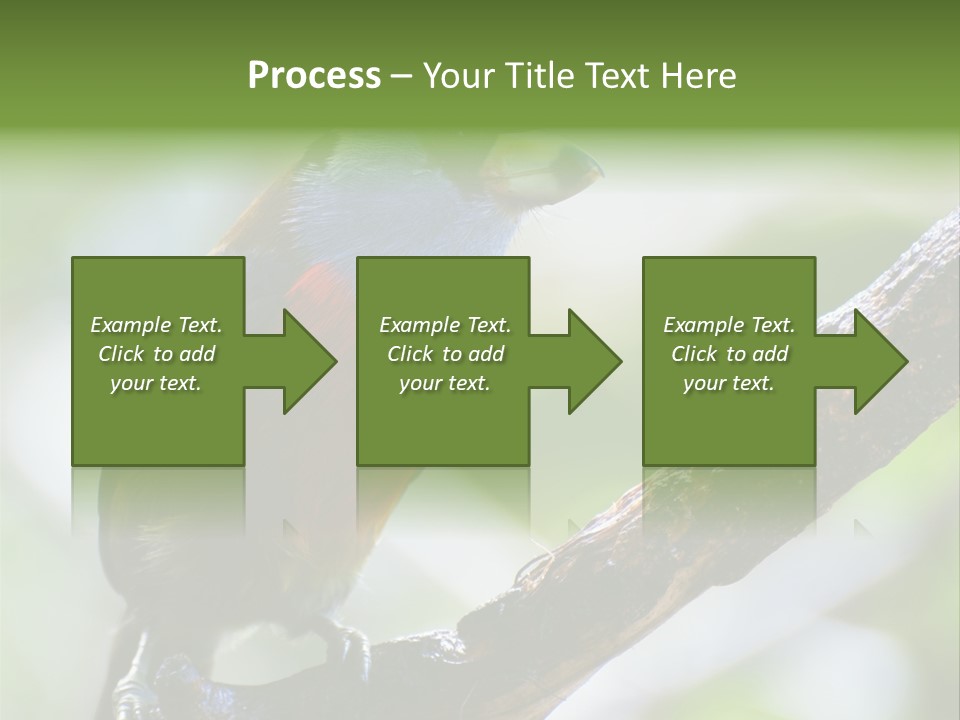 Wild Bird One PowerPoint Template