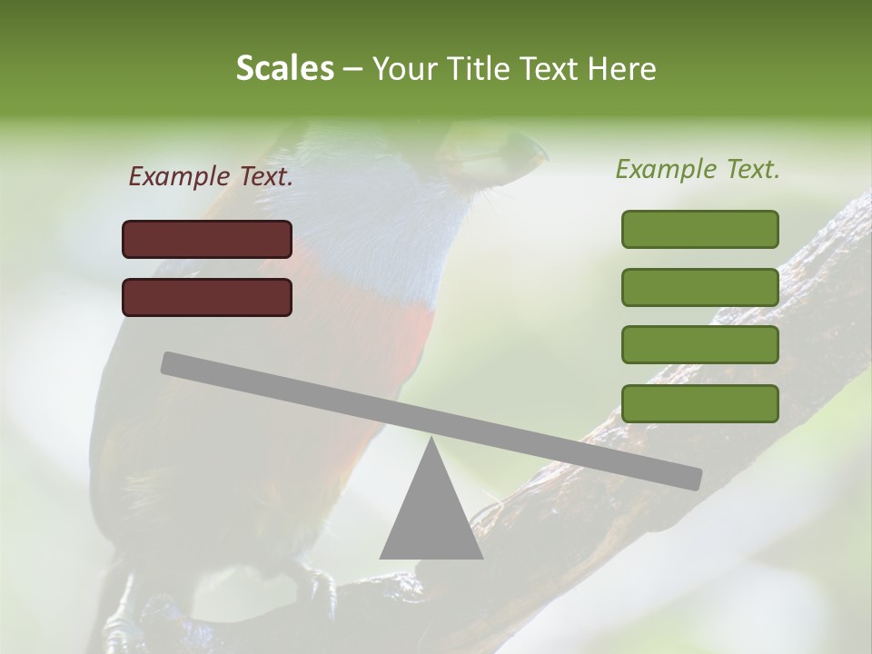 Wild Bird One PowerPoint Template