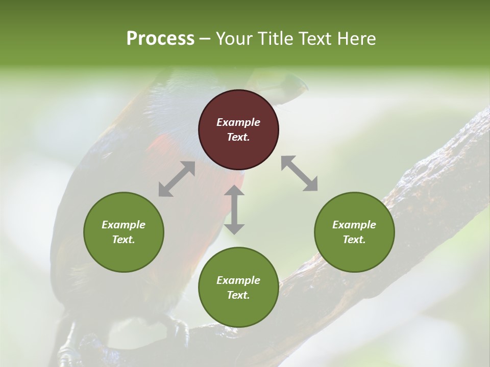 Wild Bird One PowerPoint Template