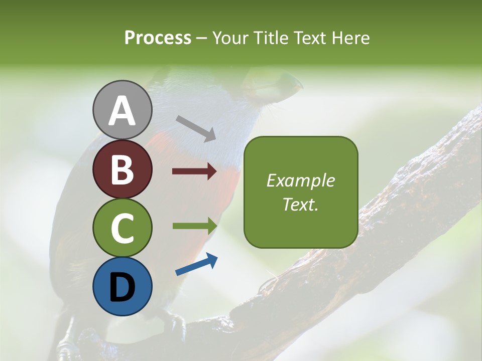 Wild Bird One PowerPoint Template