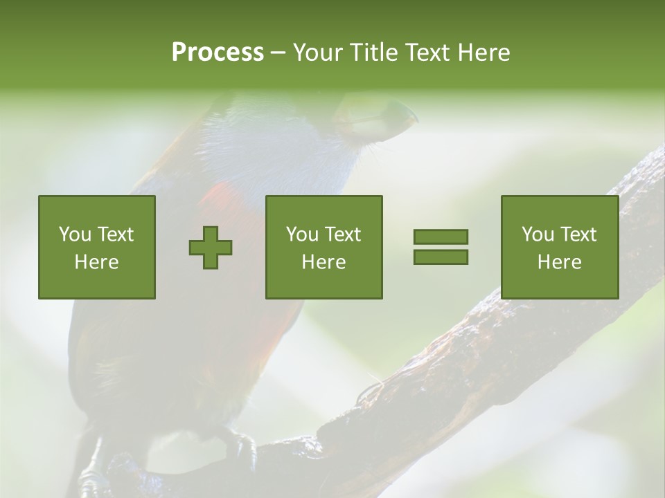 Wild Bird One PowerPoint Template