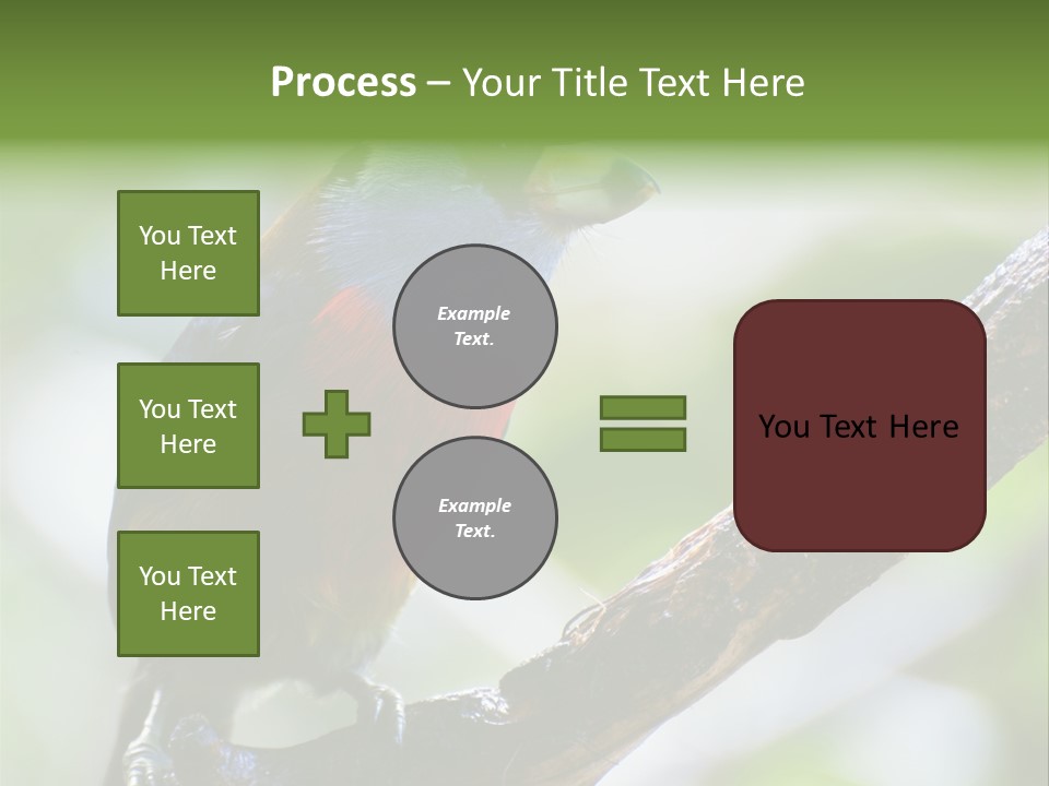 Wild Bird One PowerPoint Template