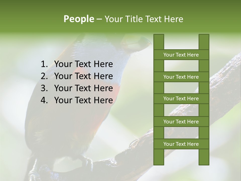 Wild Bird One PowerPoint Template