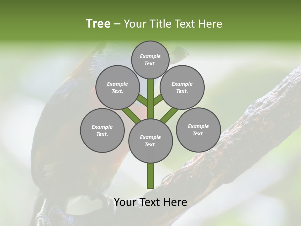 Wild Bird One PowerPoint Template