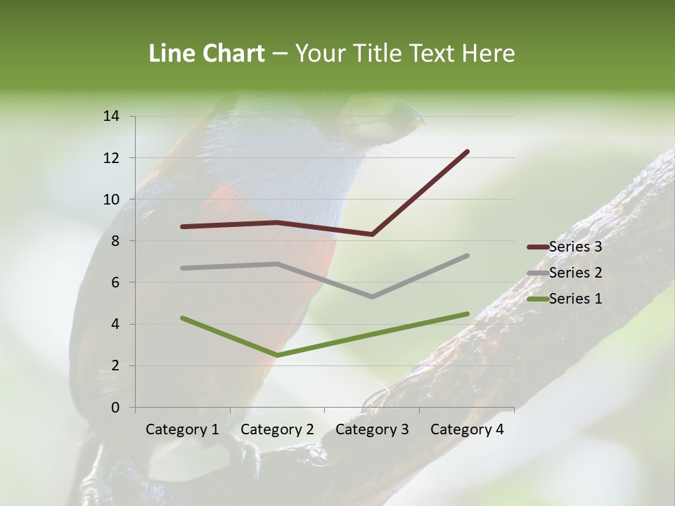 Wild Bird One PowerPoint Template
