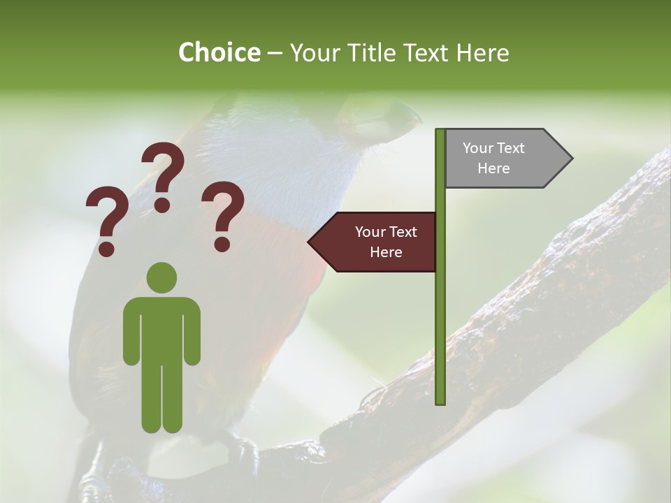 Wild Bird One PowerPoint Template