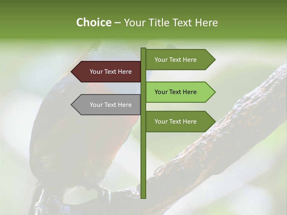 Wild Bird One PowerPoint Template