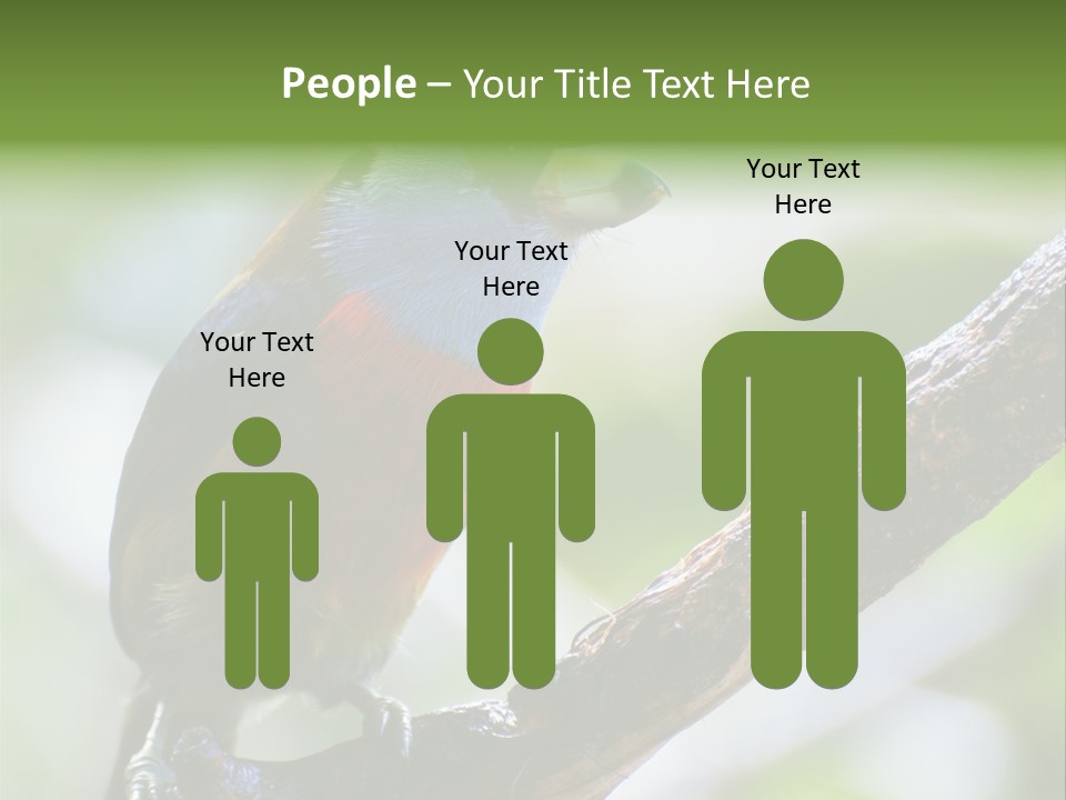 Wild Bird One PowerPoint Template