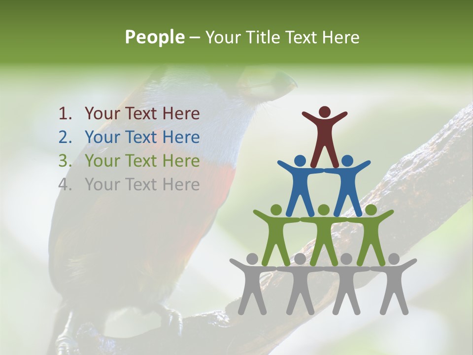 Wild Bird One PowerPoint Template