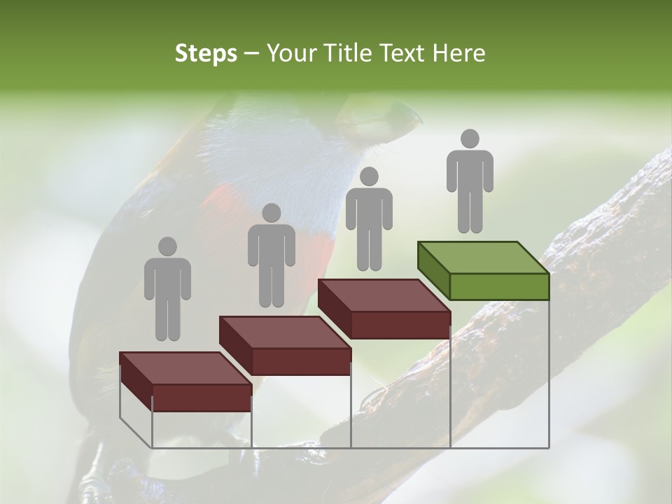 Wild Bird One PowerPoint Template