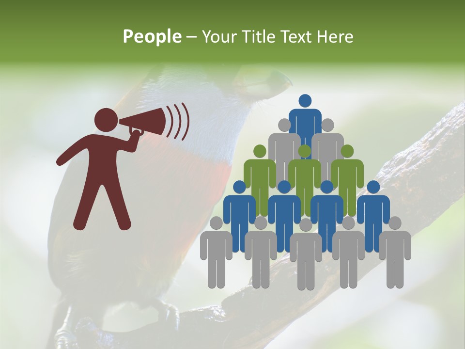 Wild Bird One PowerPoint Template