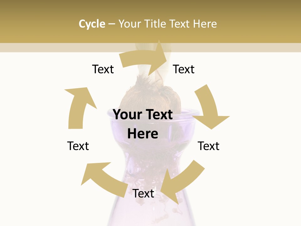 Water White Spring PowerPoint Template