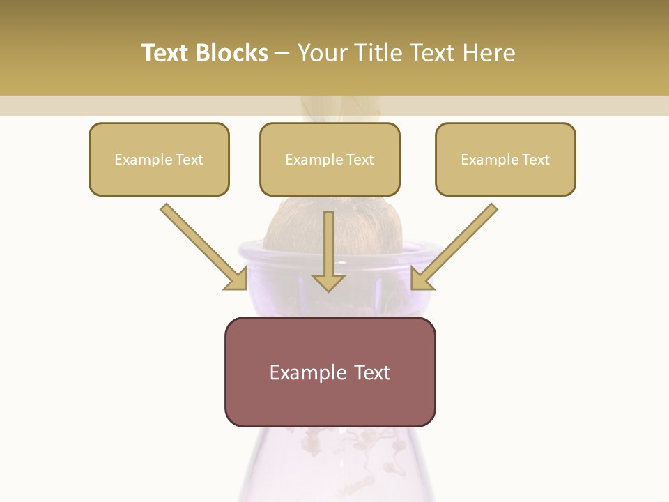 Water White Spring PowerPoint Template