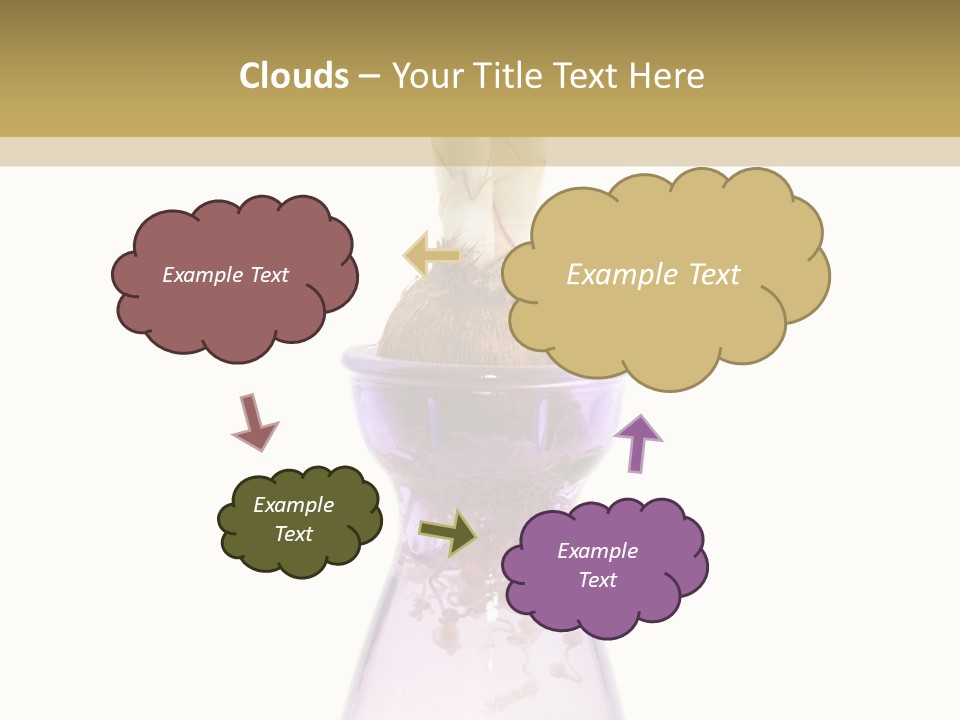 Water White Spring PowerPoint Template