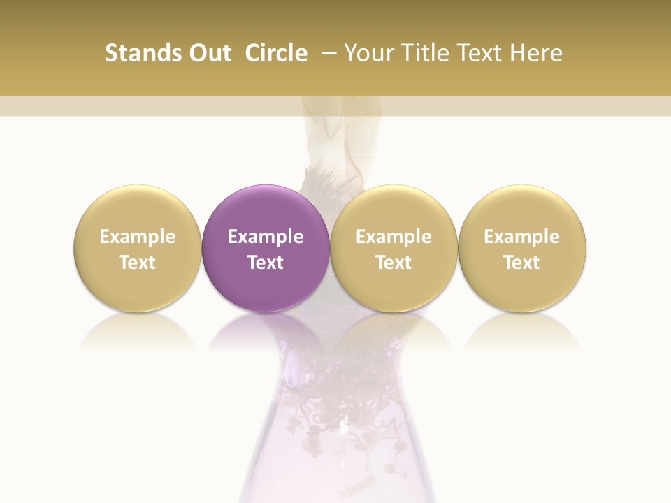 Water White Spring PowerPoint Template