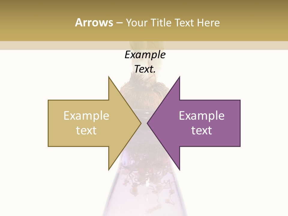 Water White Spring PowerPoint Template