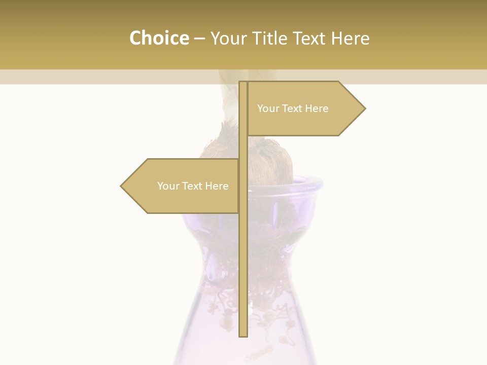 Water White Spring PowerPoint Template