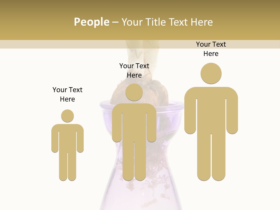 Water White Spring PowerPoint Template