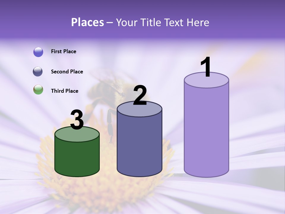 Summer Colorful Calceolaria PowerPoint Template