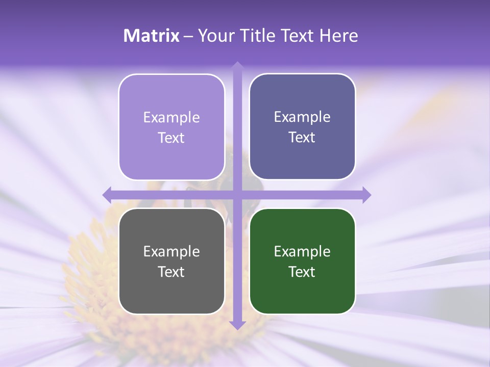 Summer Colorful Calceolaria PowerPoint Template