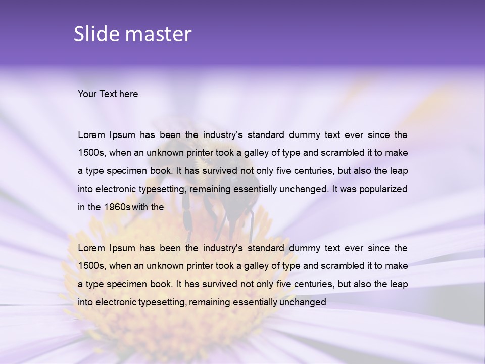 Summer Colorful Calceolaria PowerPoint Template