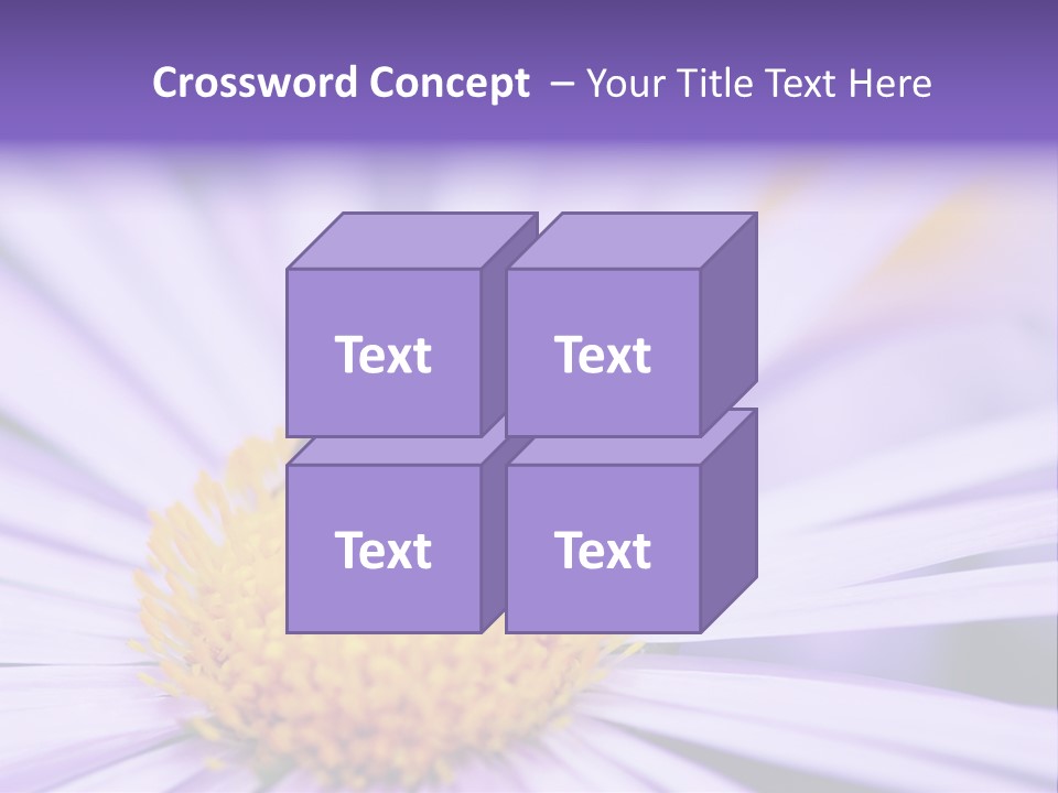Summer Colorful Calceolaria PowerPoint Template