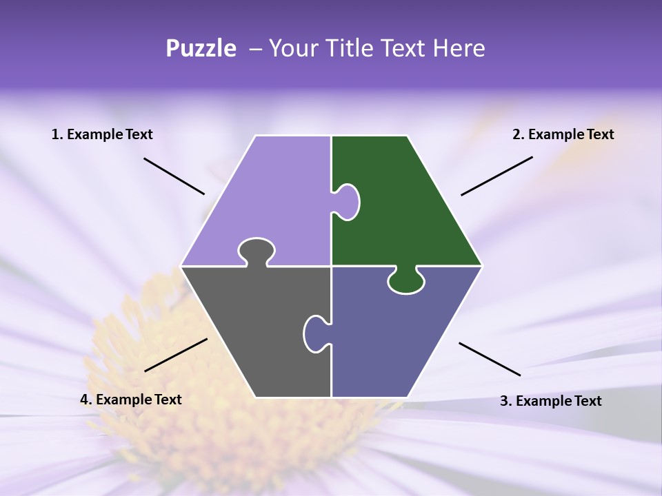 Summer Colorful Calceolaria PowerPoint Template