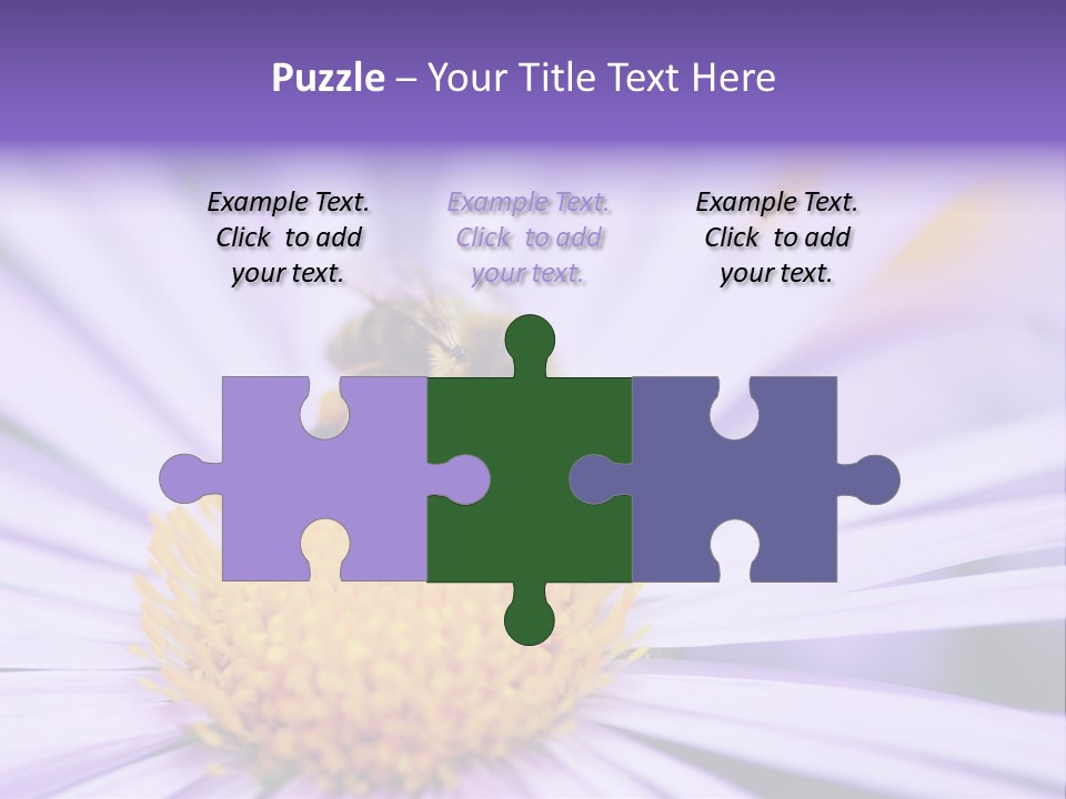 Summer Colorful Calceolaria PowerPoint Template