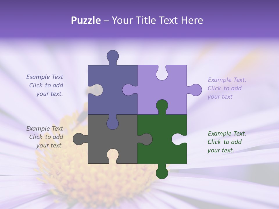 Summer Colorful Calceolaria PowerPoint Template