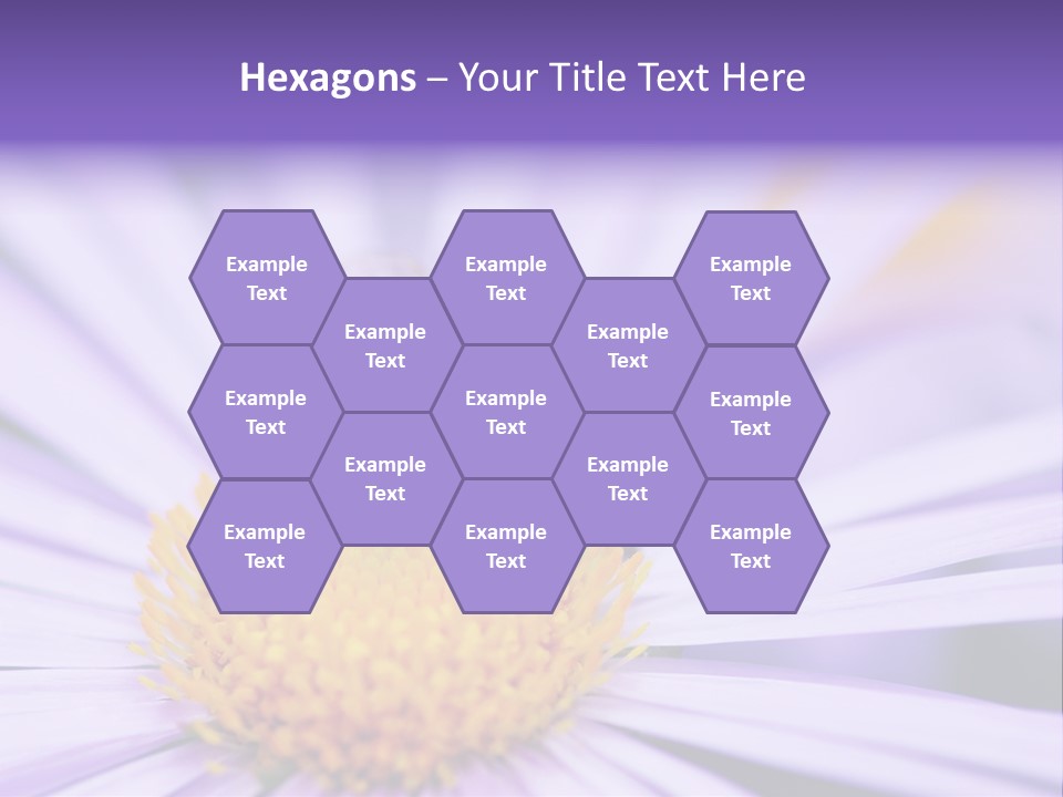 Summer Colorful Calceolaria PowerPoint Template