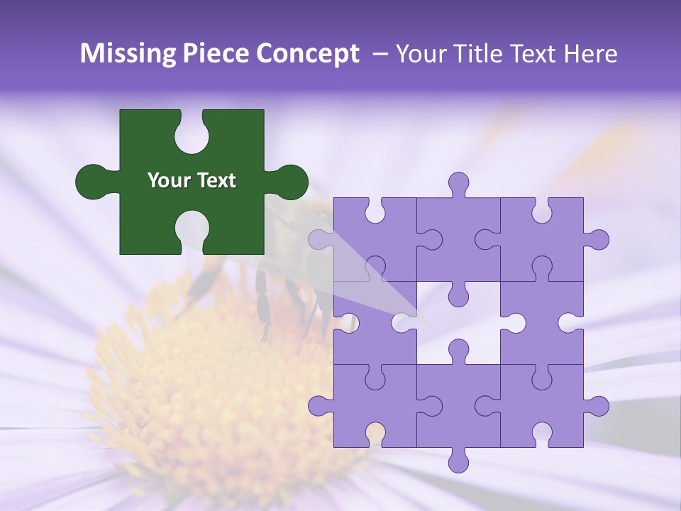 Summer Colorful Calceolaria PowerPoint Template