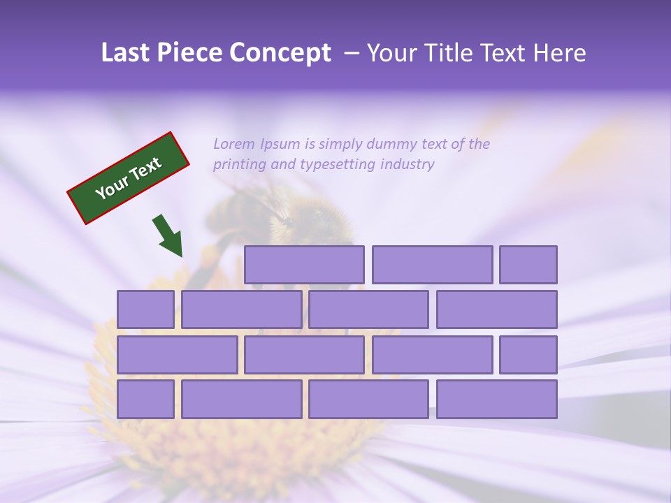 Summer Colorful Calceolaria PowerPoint Template