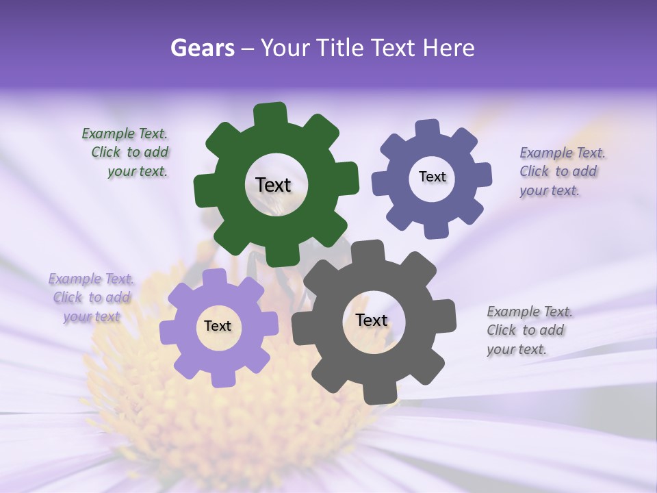 Summer Colorful Calceolaria PowerPoint Template