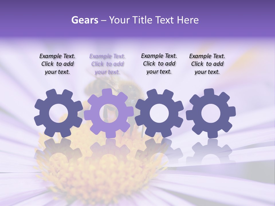 Summer Colorful Calceolaria PowerPoint Template