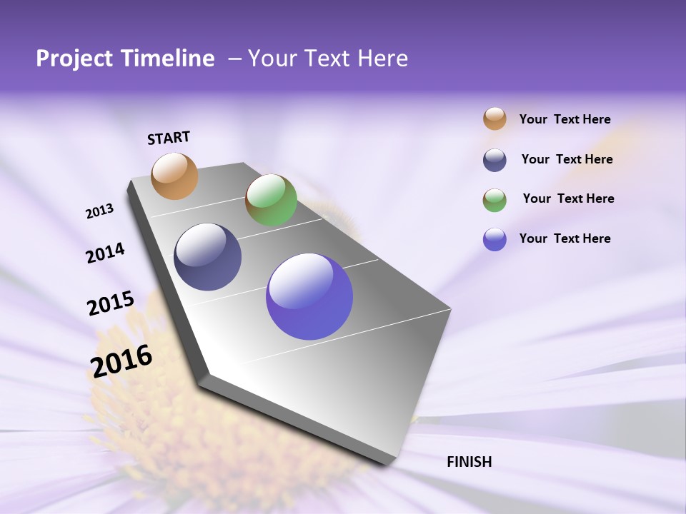 Summer Colorful Calceolaria PowerPoint Template