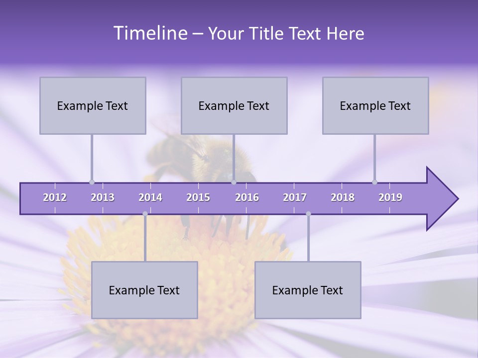 Summer Colorful Calceolaria PowerPoint Template