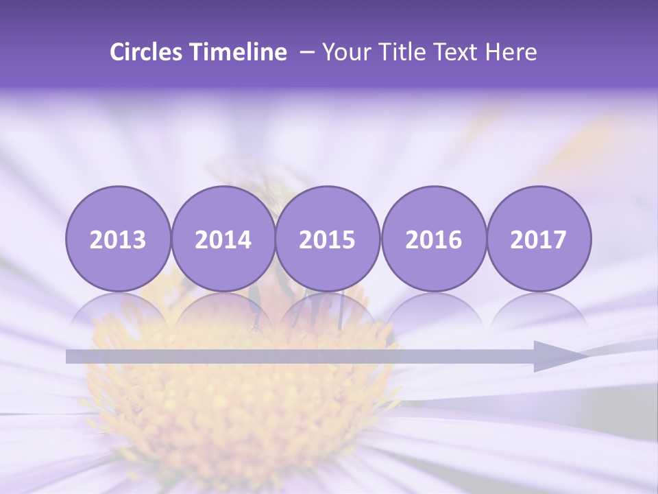 Summer Colorful Calceolaria PowerPoint Template