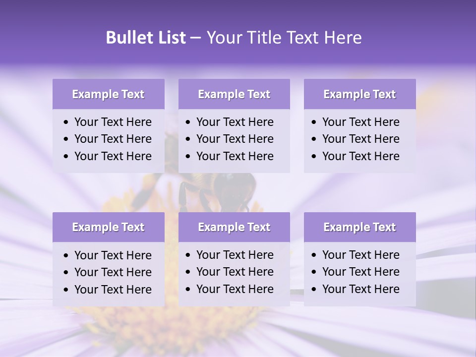 Summer Colorful Calceolaria PowerPoint Template