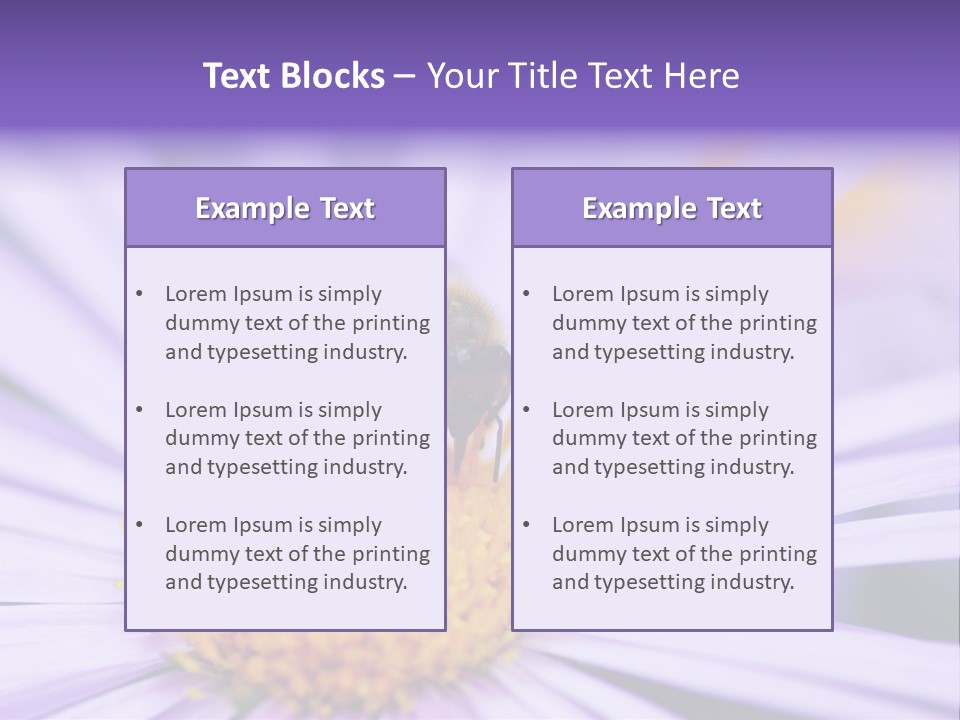 Summer Colorful Calceolaria PowerPoint Template
